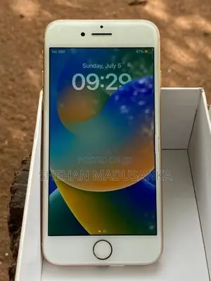 Apple iPhone 8 (Used)