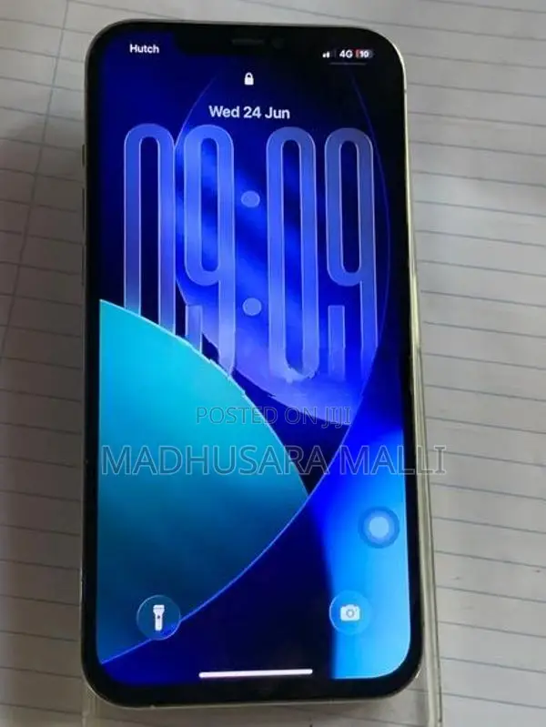 Apple iPhone 12 Pro Max (Used)