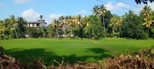 Kaduwela- delgoda paddy field facing 24 perch land for sale .