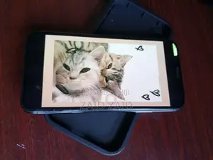 Apple iPhone X (Used)