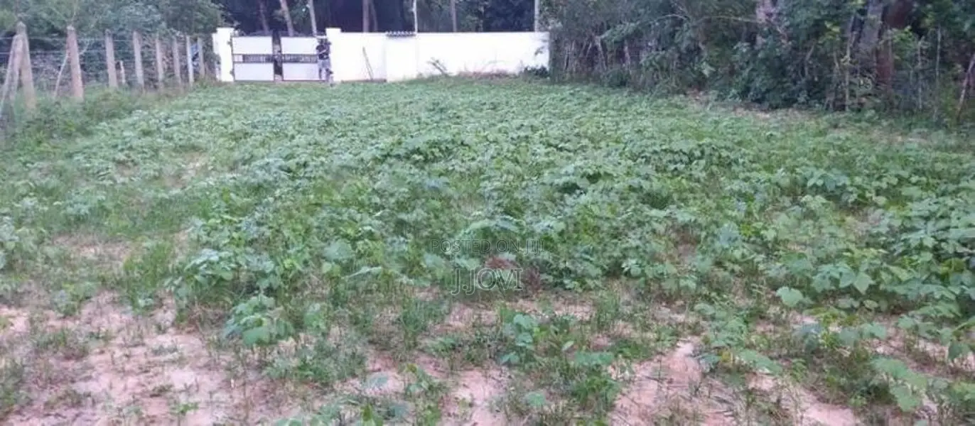 Land for Sale Jaffna