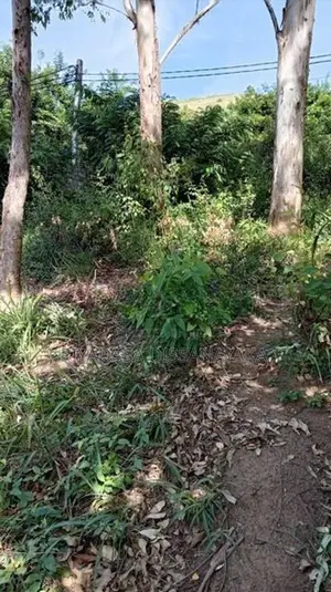Land in Welimada