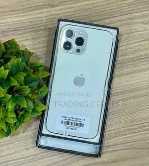 Apple iPhone 13 Pro Max 1TB (Used)