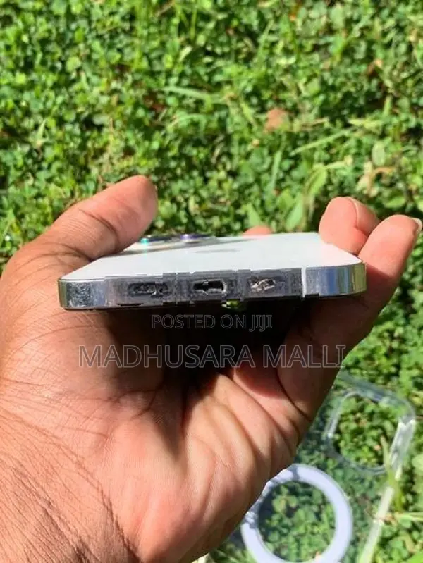 Apple iPhone 12 Pro Max (Used)