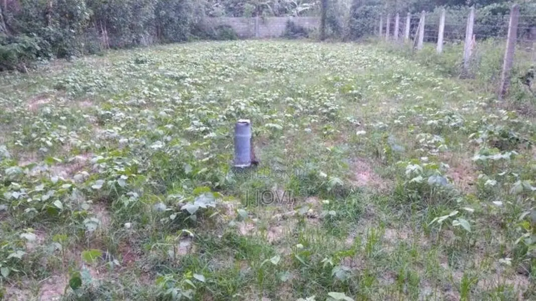 Land for Sale Jaffna
