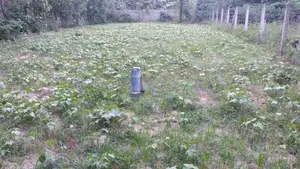 Land for Sale Jaffna