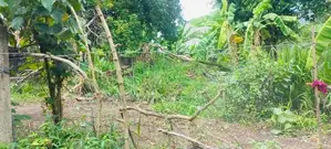 (AFA298) 40 P Bare Land Sale At Temple Road Thalawathugoda