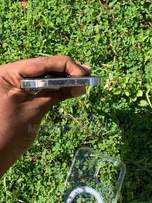 Apple iPhone 12 Pro Max (Used)