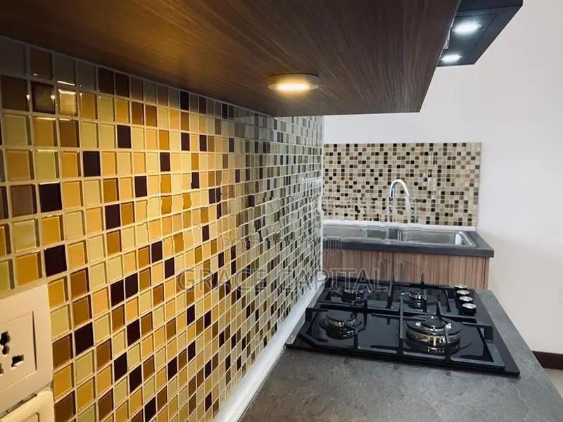 Fully Furnished Apartment for Sale Colombo 7