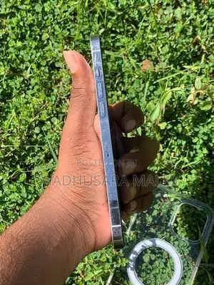 Apple iPhone 12 Pro Max (Used)