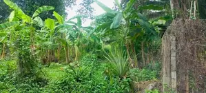 (AFA298) 40 P Bare Land Sale At Temple Road Thalawathugoda