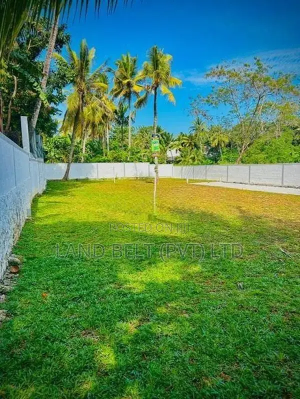 කොට්ටාව නගරයට විනාඩි දෙකේ දුරින් ඉඩමක් විකිණීමට