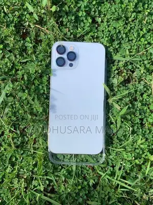 Apple iPhone 12 Pro Max (Used)