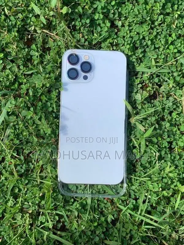 Apple iPhone 12 Pro Max (Used)