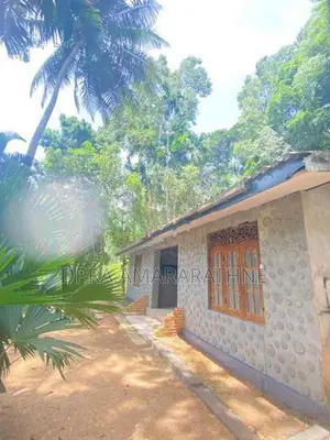 වටිනා නිවසක් සහිත ඉඩමක්