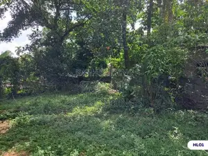 10 Perch Lands for Sale – Himbutana