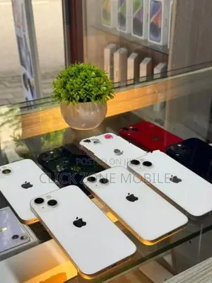 Apple iPhone 13 128GB (Used)