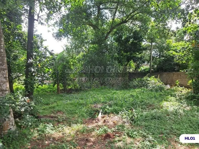 10 Perch Lands for Sale – Himbutana