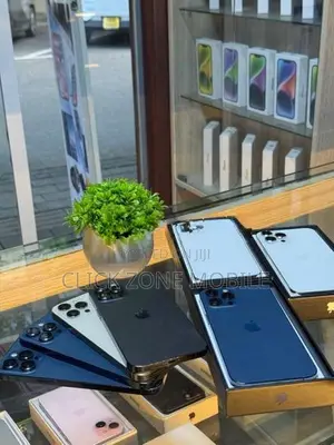 Apple iPhone 12 Pro Max (Used)