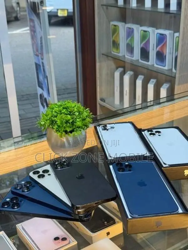 Apple iPhone 12 Pro Max (Used)