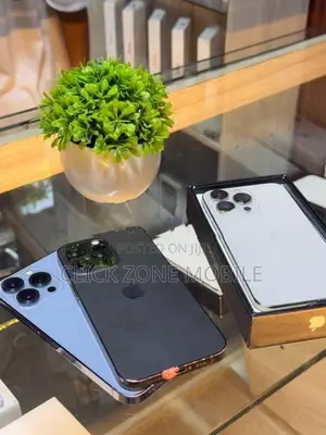 Apple iPhone 13 Pro (Used)