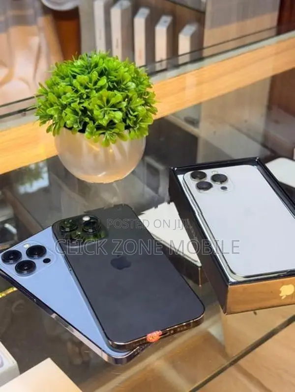 Apple iPhone 13 Pro (Used)