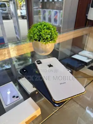 Apple iPhone XS Max 512GB (Used)