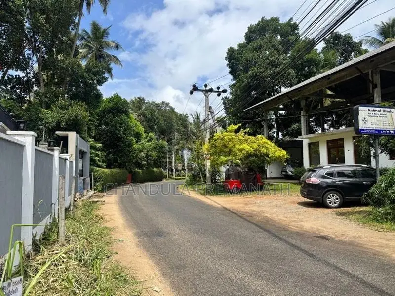 29.5 Perch Residential Land in Gannoruwa, Kandy for Sale