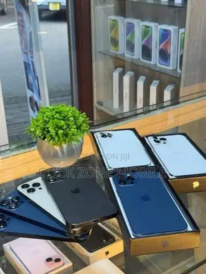 Apple iPhone 12 Pro Max (Used)