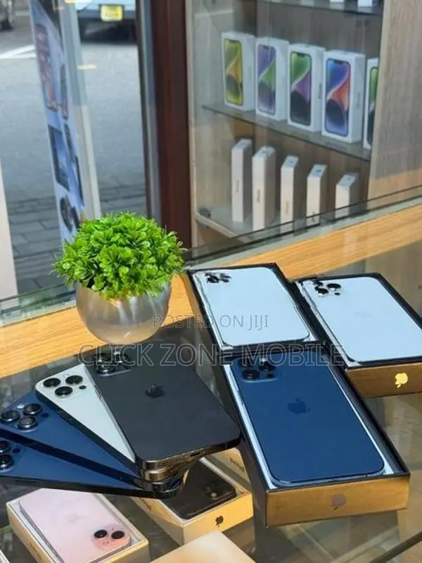 Apple iPhone 12 Pro Max (Used)