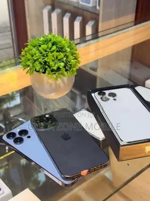 Apple iPhone 13 Pro (Used)