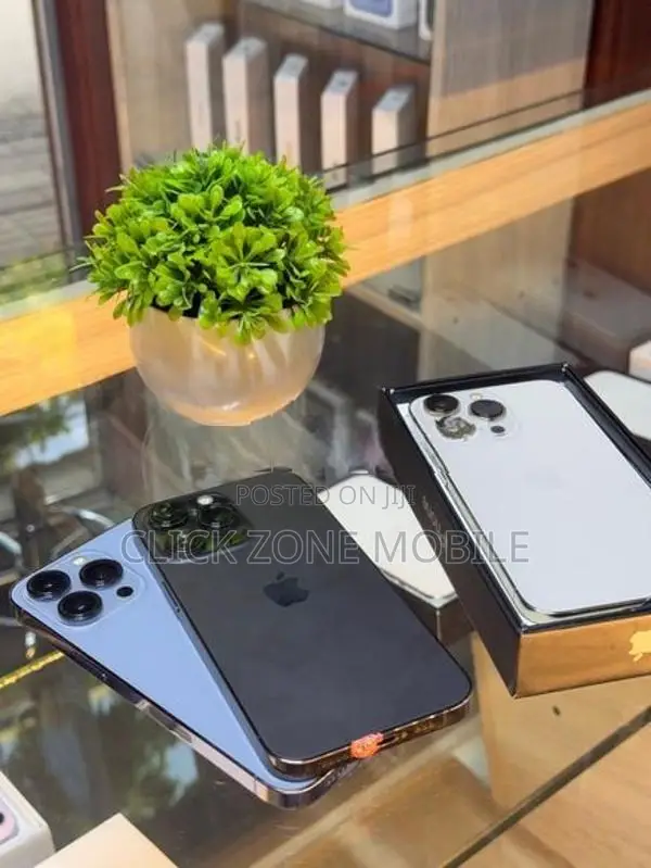 Apple iPhone 13 Pro (Used)