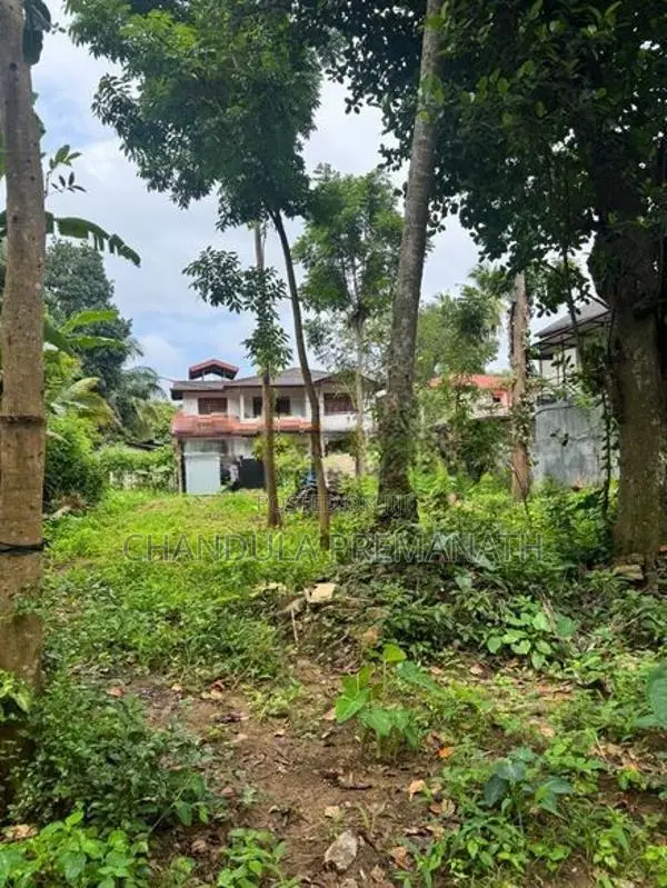 29.5 Perch Residential Land in Gannoruwa, Kandy for Sale