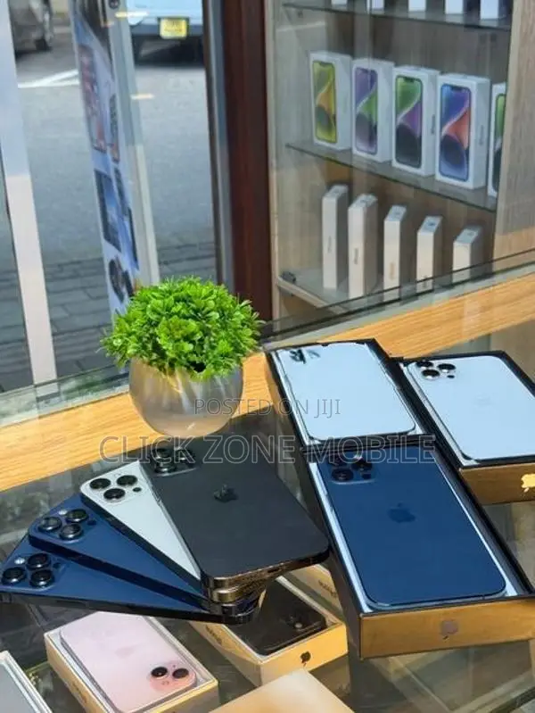 Apple iPhone 12 Pro Max (Used)