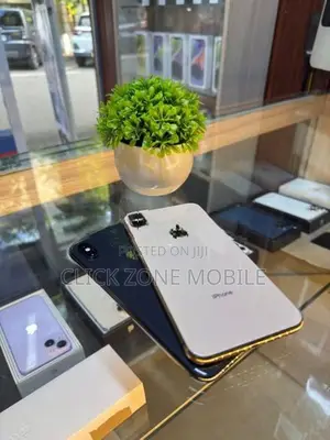 Apple iPhone XS Max 512GB (Used)