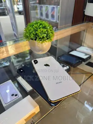 Apple iPhone XS Max 512GB (Used)
