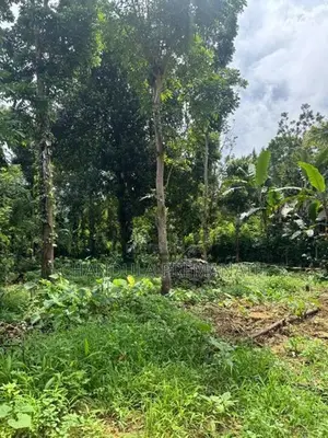 29.5 Perch Residential Land in Gannoruwa, Kandy for Sale