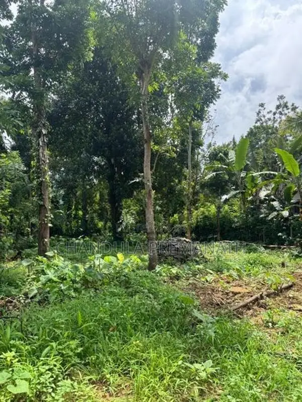 29.5 Perch Residential Land in Gannoruwa, Kandy for Sale