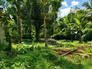 29.5 Perch Residential Land in Gannoruwa, Kandy for Sale