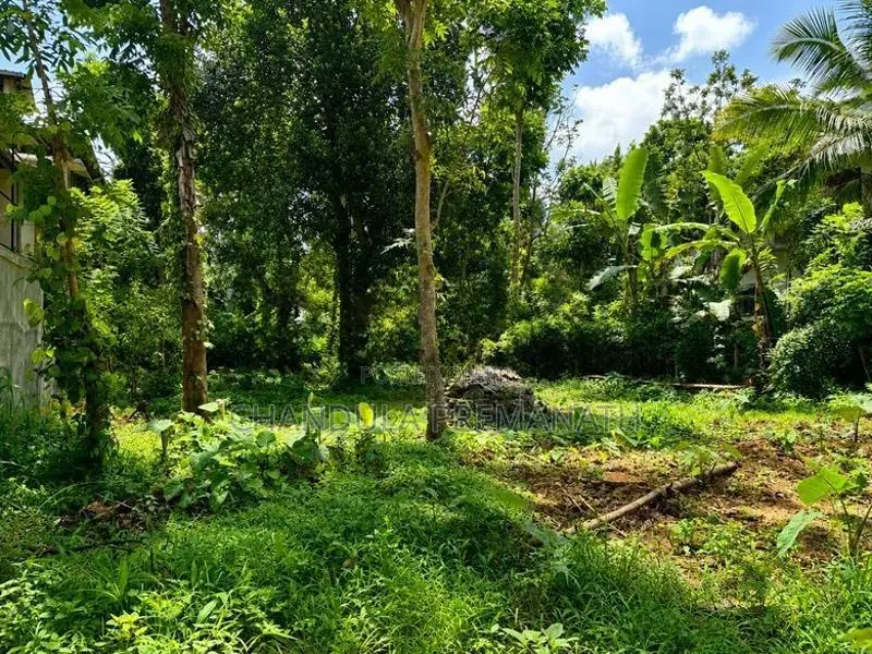 29.5 Perch Residential Land in Gannoruwa, Kandy for Sale