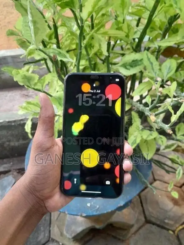 Apple iPhone 11 (Used)