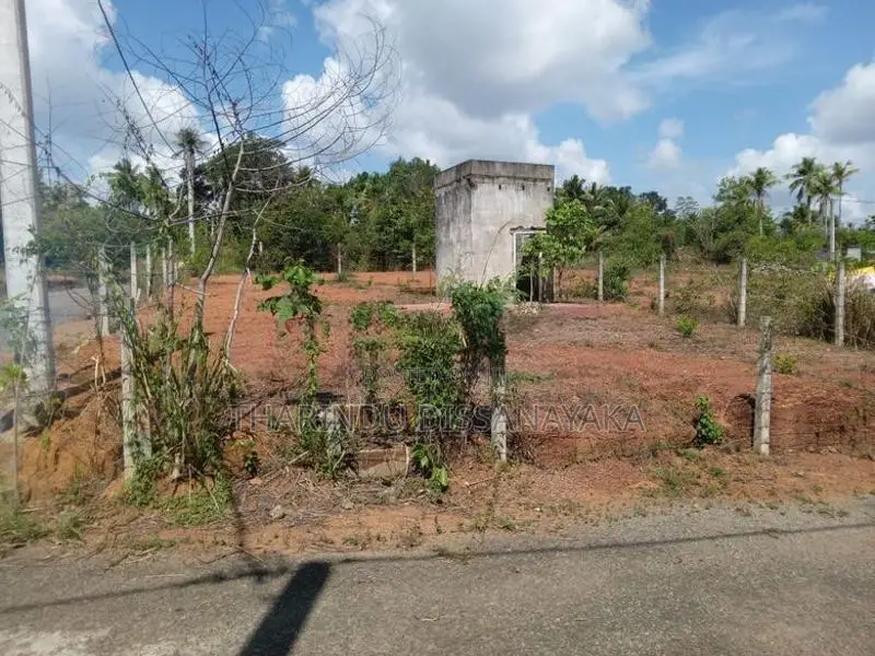 Land in Ganemulla Plot 01