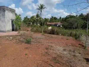 Land in Ganemulla Plot 01