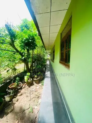 Houses For Sale In Anamaduwa