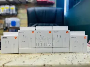 Xiaomi 67W Fast Charger Set