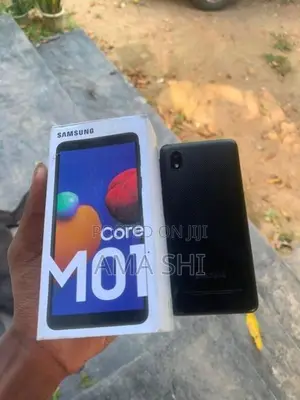 Samsung Galaxy M01 Core (Used)