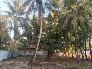 20 Perches Land for Sale Vantharumoolai Palacholai