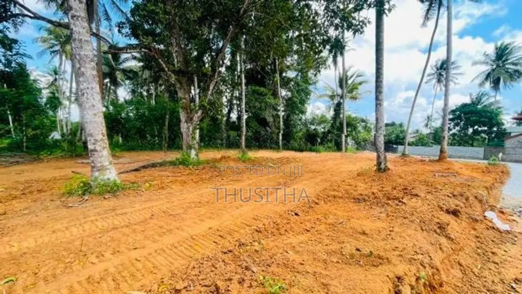 Precious Land Plot for Sale Gamapaha | Yakkala Town