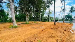 Precious Land Plot for Sale Gamapaha | Yakkala Town