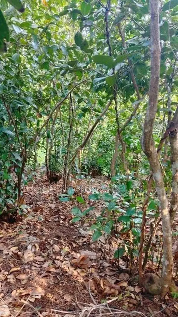 Land for Sale Yatiyana Hakmana